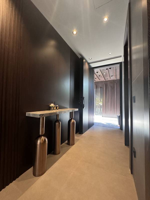 Porte Intérieure Luxe